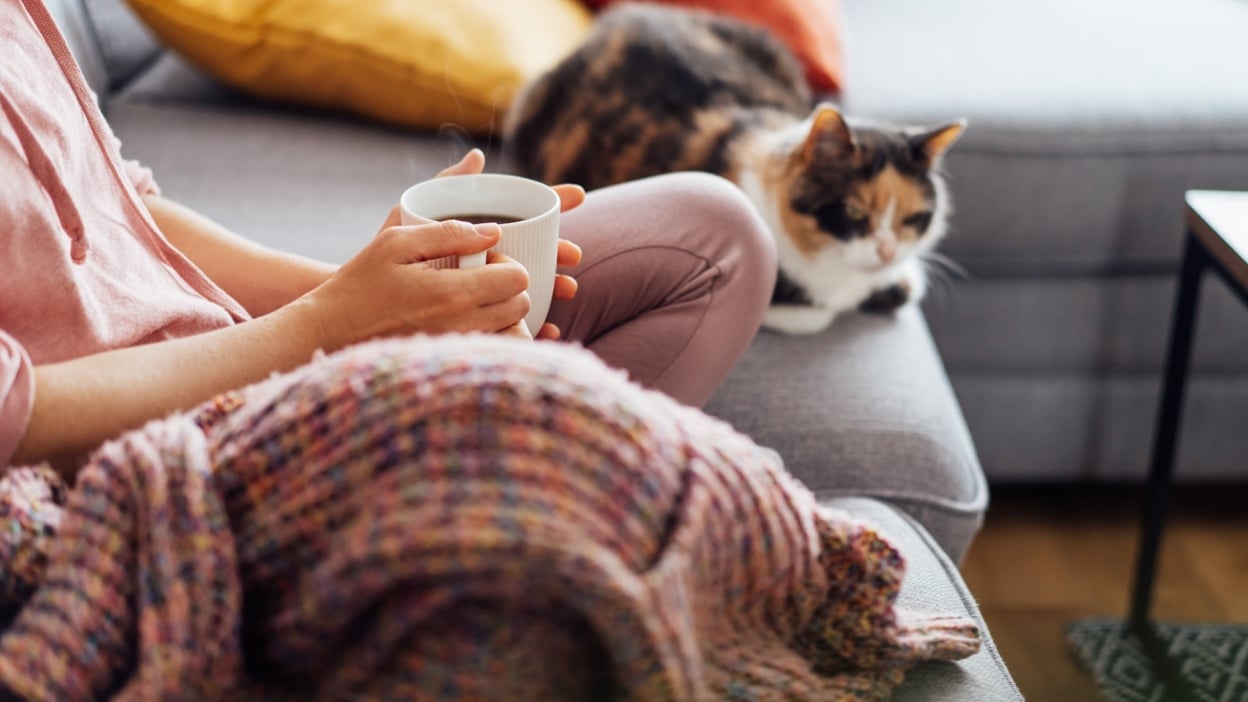 Do’s and don’ts for buying used pickup trucks