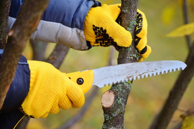 The Ultimate Checklist for Safe Use of Your Outdoor Tools