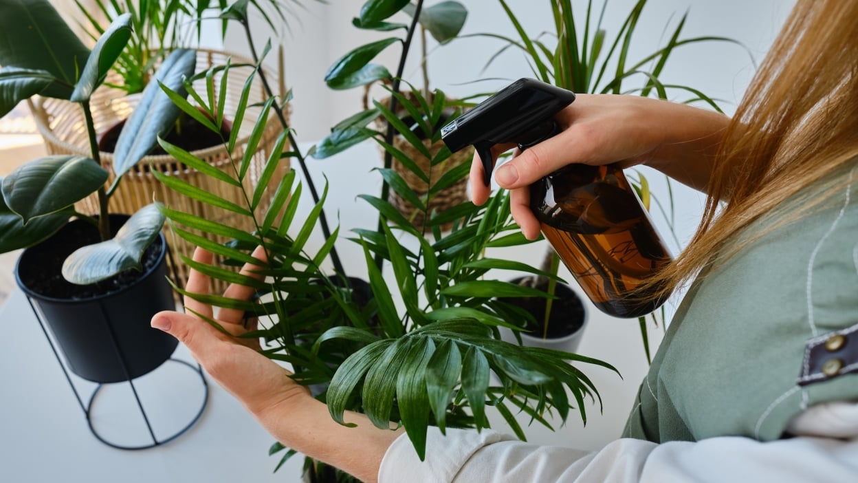 Do’s and don’ts for buying used pickup trucks