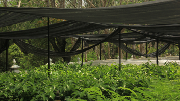 Do’s and don’ts for buying used pickup trucks