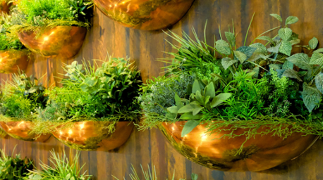 Do’s and don’ts for buying used pickup trucks