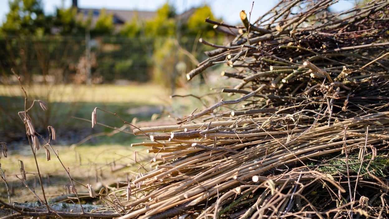 Do’s and don’ts for buying used pickup trucks