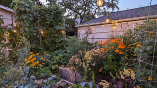 Do’s and don’ts for buying used pickup trucks