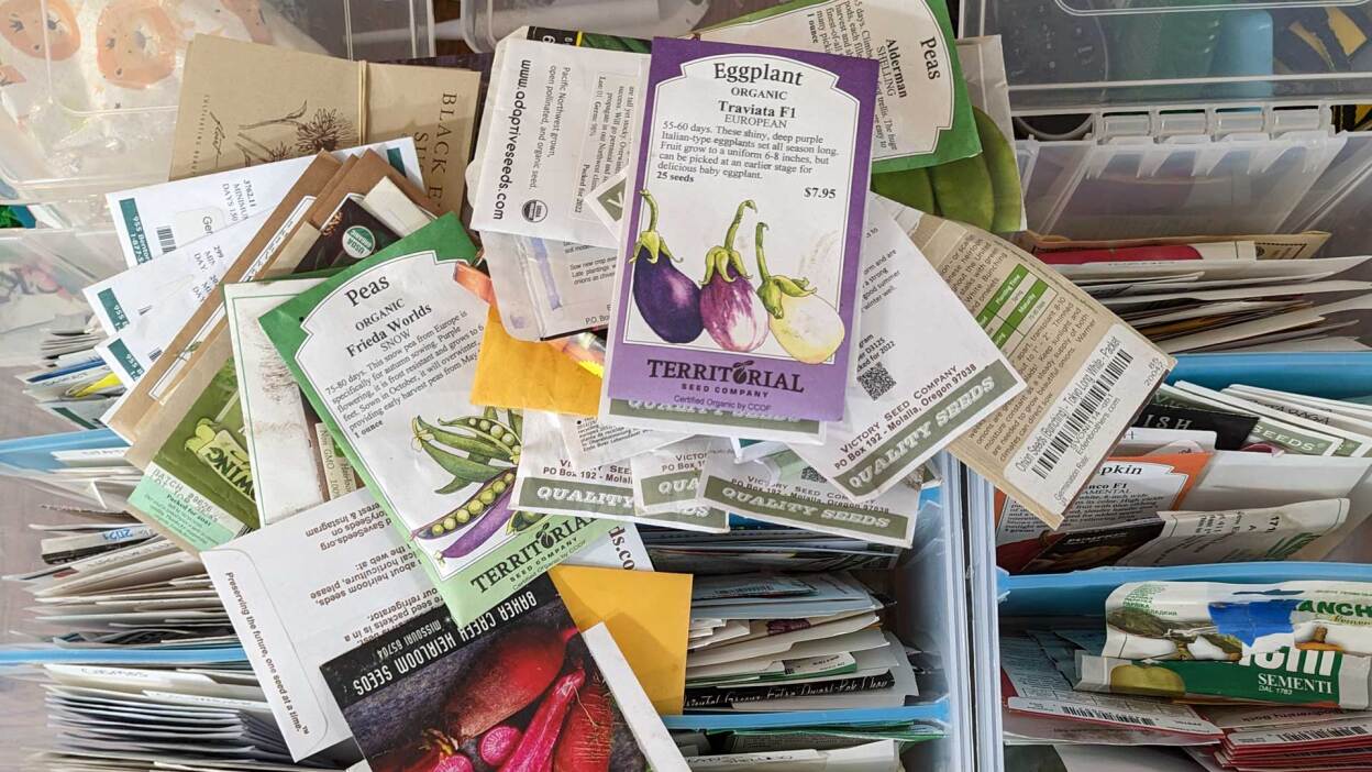 Do’s and don’ts for buying used pickup trucks