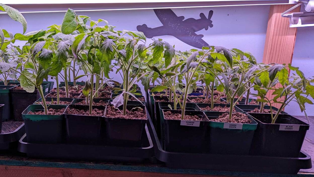 Do’s and don’ts for buying used pickup trucks