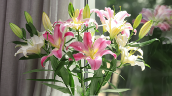 Do’s and don’ts for buying used pickup trucks