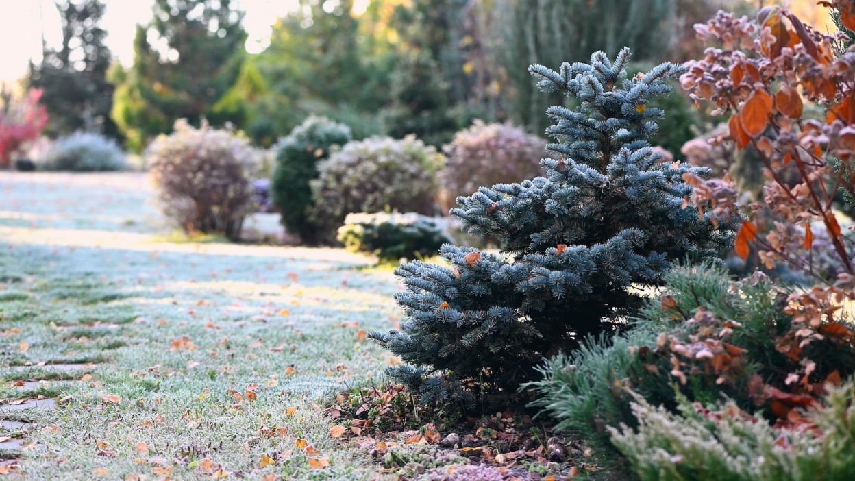 Do’s and don’ts for buying used pickup trucks