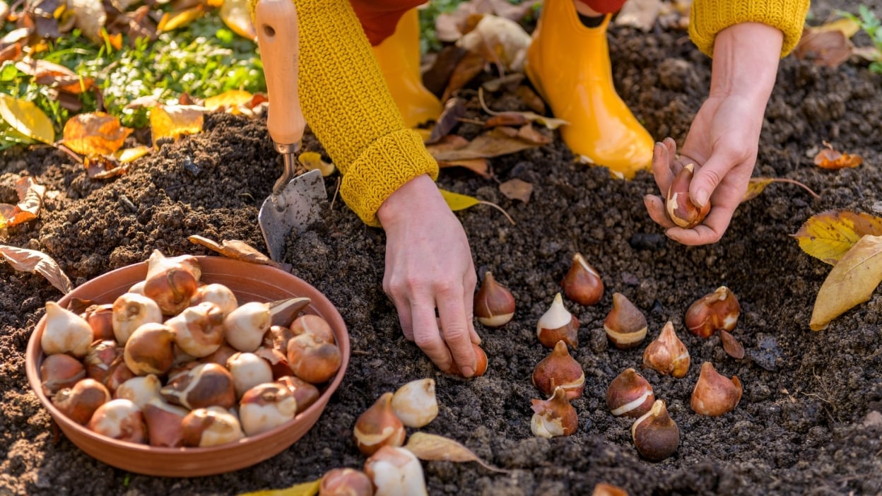 Do’s and don’ts for buying used pickup trucks