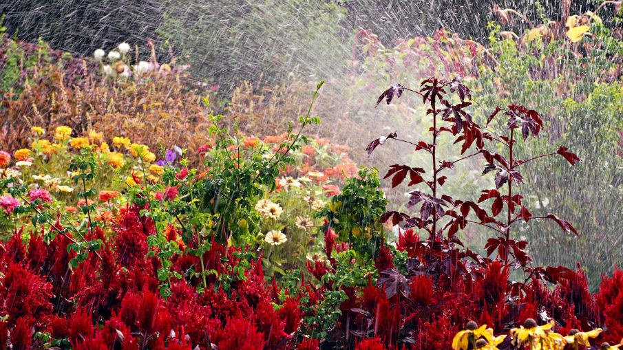 Do’s and don’ts for buying used pickup trucks