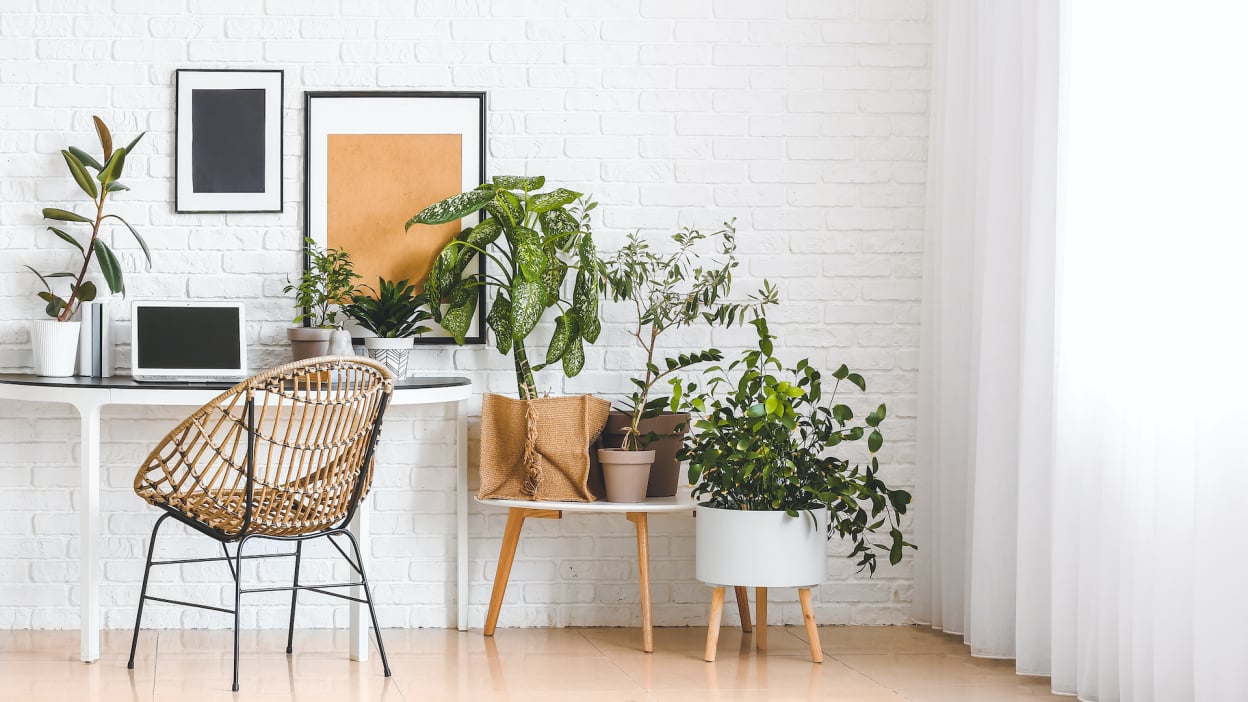 Do’s and don’ts for buying used pickup trucks