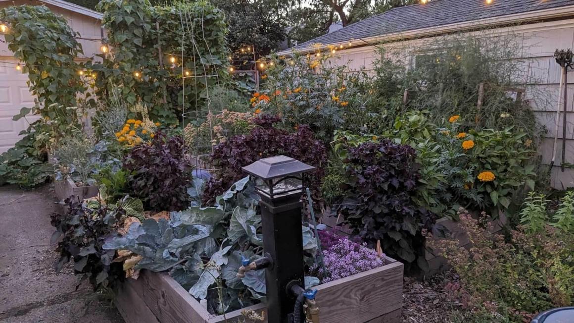 Do’s and don’ts for buying used pickup trucks